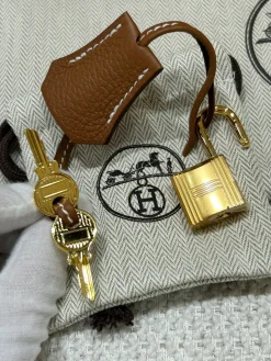 2025 Hermes Togo Birkin 25