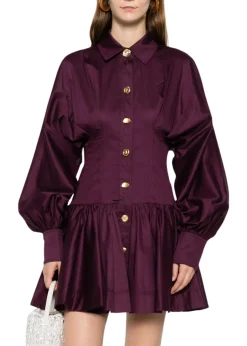 Alexa Long Sleeve Mini Dress