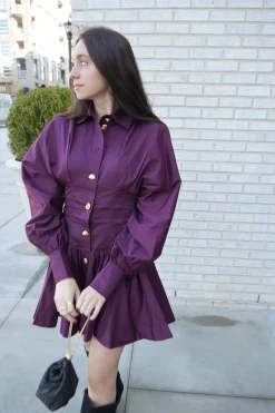 Alexa Long Sleeve Mini Dress