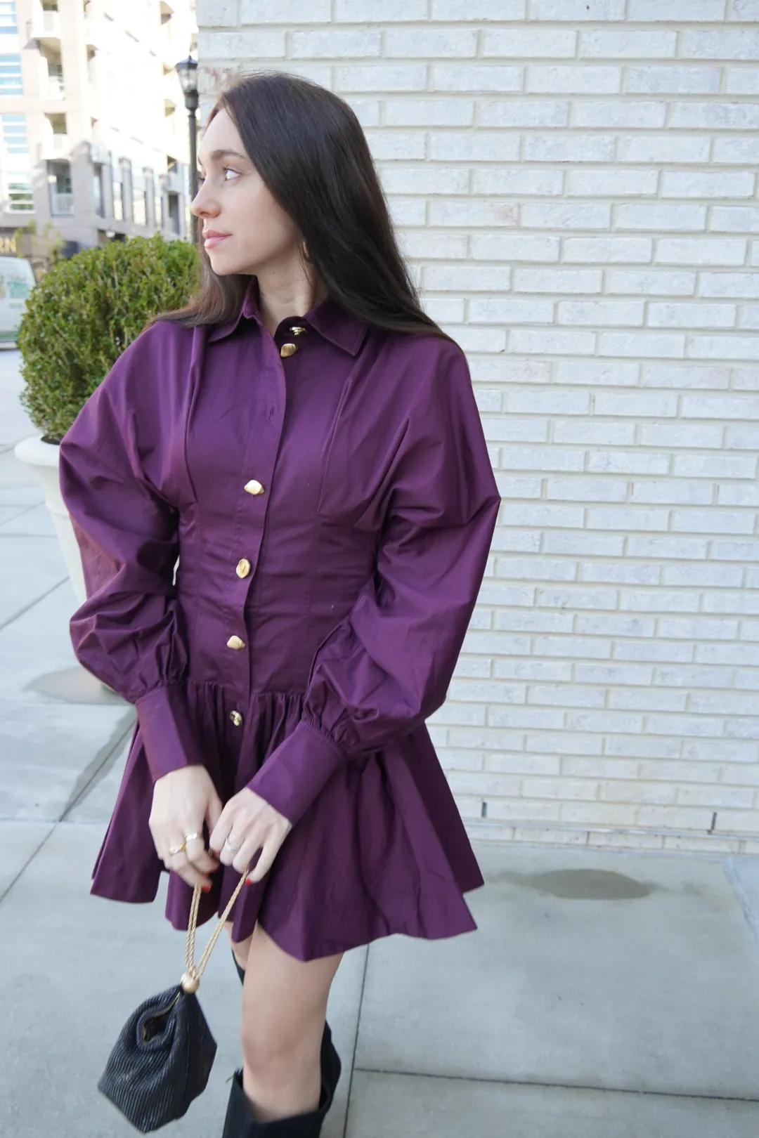 Alexa Long Sleeve Mini Dress