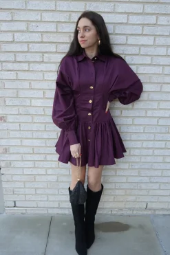 Alexa Long Sleeve Mini Dress
