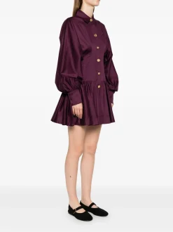 Alexa Long Sleeve Mini Dress
