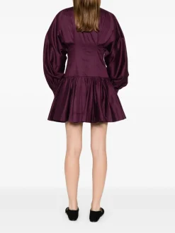 Alexa Long Sleeve Mini Dress