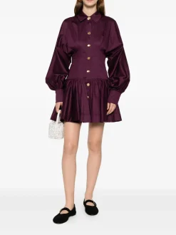 Alexa Long Sleeve Mini Dress