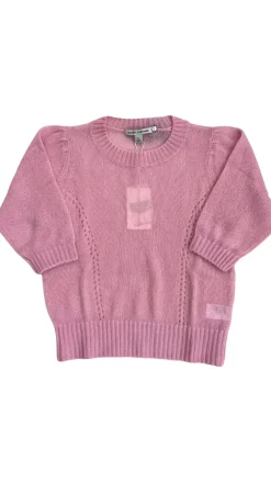 Puff Sleeve With Princess Seam